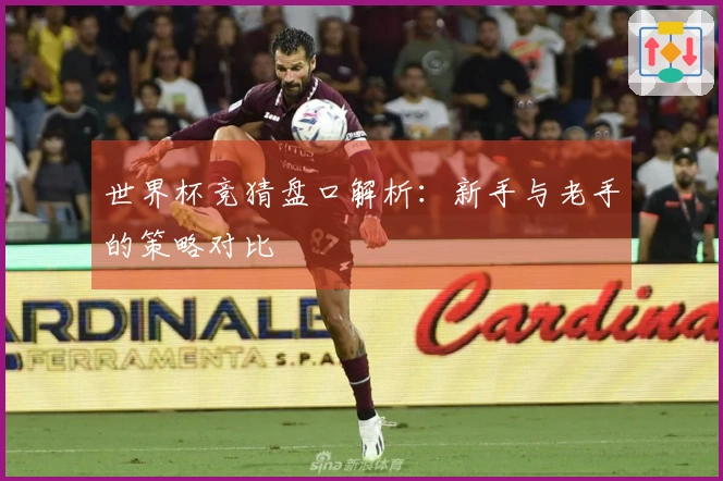 世界杯竞猜盘口解析：新手与老手的策略对比