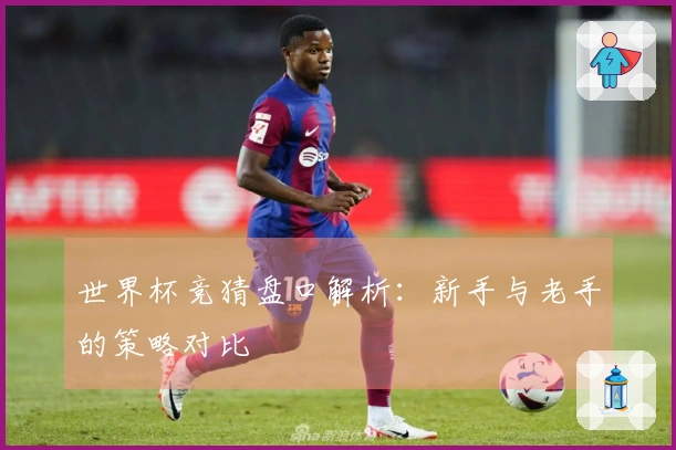 世界杯竞猜盘口解析：新手与老手的策略对比