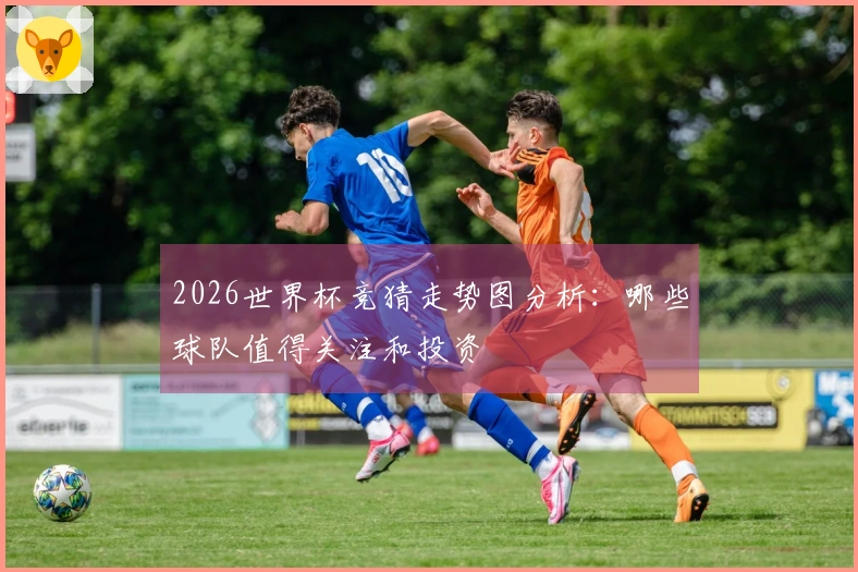 2026世界杯竞猜走势图分析：哪些球队值得关注和投资