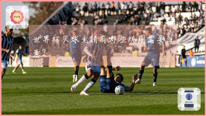 世界杯买球竞猜有哪些规则需要注意？