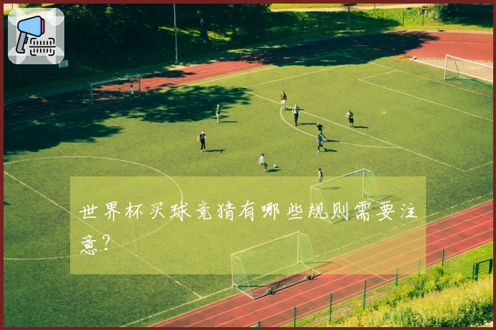 世界杯买球竞猜有哪些规则需要注意？